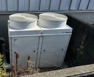 IMG_5607コピー